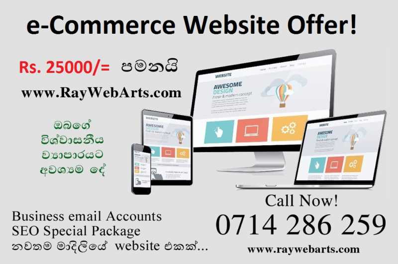 Website Designing Service