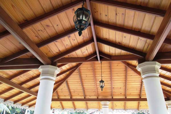 Roofing and Ceiling