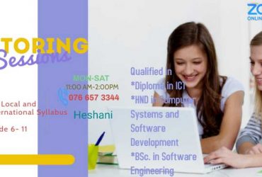 ICT Local Syllabus