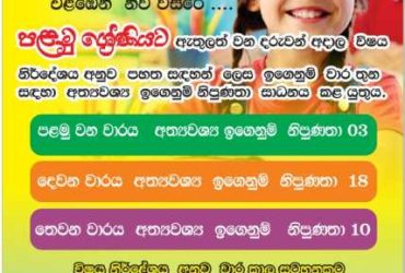 Primary  ප්‍රථමික සිසුන් (1,2,3,4, සහ 5) සදහා පන්ති online /group/ individual/ home visit