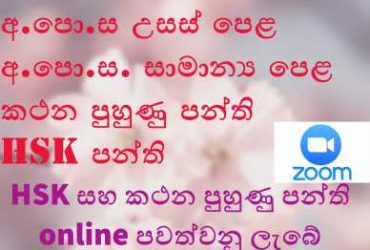 චීන භාෂා පන්ති