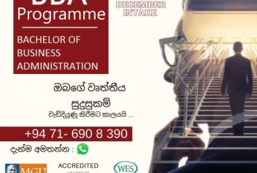 Bachelor of Business Administration – BBA