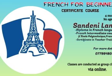 French for Beginners Certificate Course