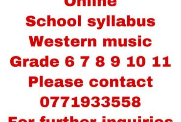 Online Western Music Class