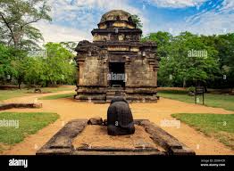History classes tamil medium